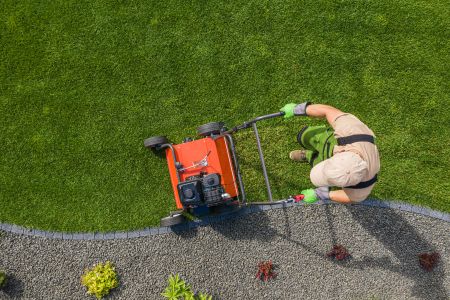 Signs Your Lawn Mower Blade Needs Sharpening for a Healthier Lawn