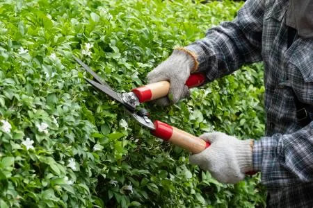 Why Sharp Tools Are Safer and More Efficient to Use